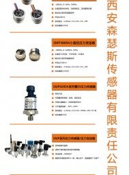 壓力傳感器_智能差壓變送器_無線壓力變送器 _控制儀表  多國儀表展   上海傳感器展